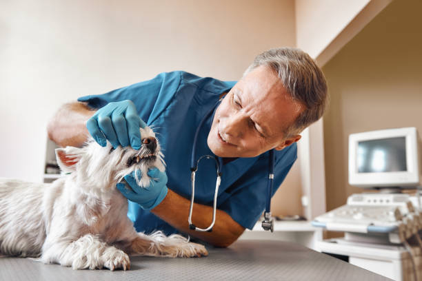 Best Emergency Dental Surgery in Breaux Bridge, LA