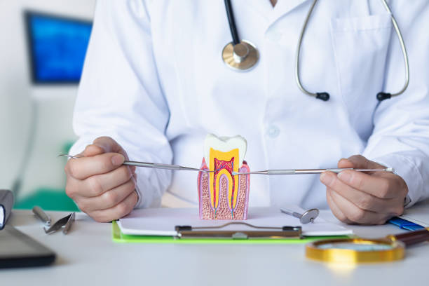 Best Emergency Treatment for Toothache in Breaux Bridge, LA